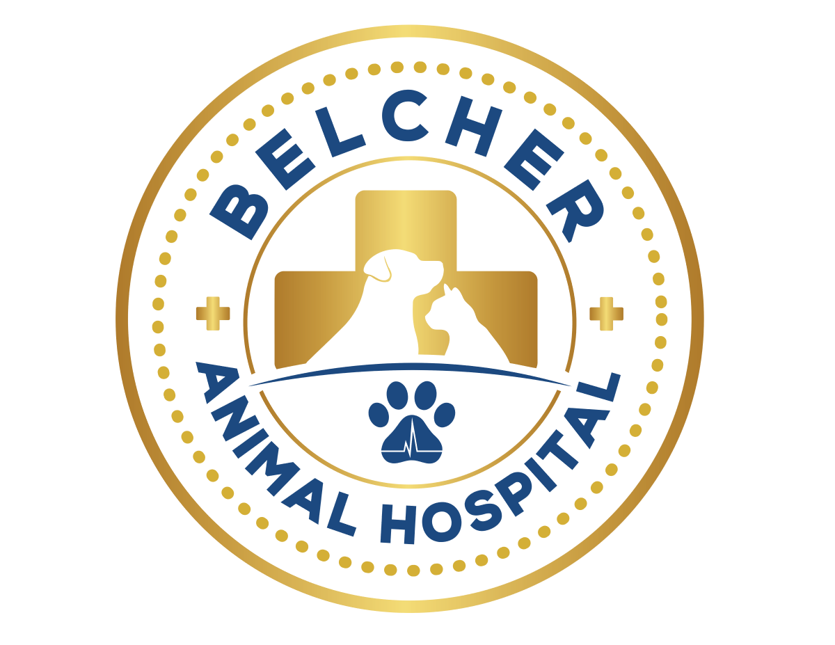 Belcher Animal Hospital